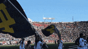 Notre Dame Leprechaun GIF by Notre Dame Fighting Irish