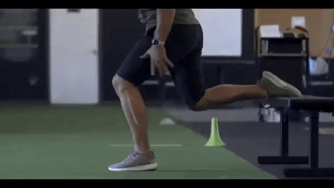 giphygifmaker GIF