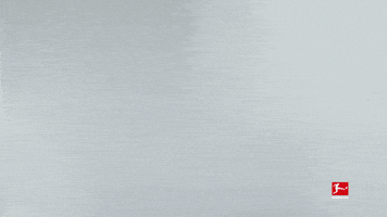 Proud Rb Leipzig GIF by Bundesliga