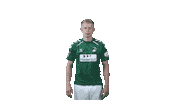 Robin Sticker by VfB Lübeck