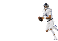 Tennessee Titans Football Sticker by NFL