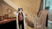 Dsdc GIF