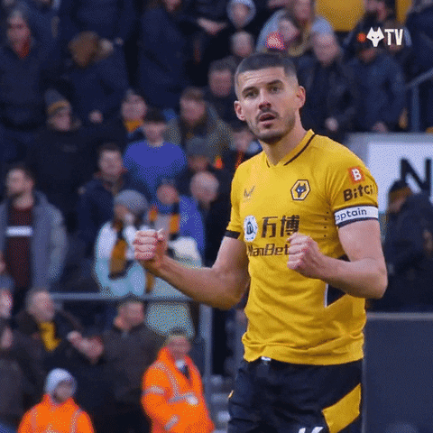 Premier League Yes GIF by Wolves