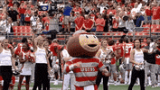 Ohio State Hype GIF by Ohio State Athletics