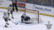 celebrate ice hockey GIF by NHL