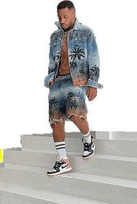 Summer Jeffersonfarfan Sticker by FoxSoftPeru