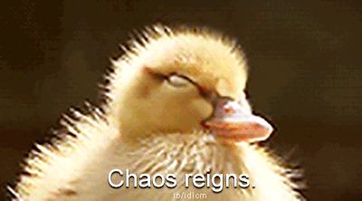 chaosmagic giphyupload chaos reigns chaos reigns GIF