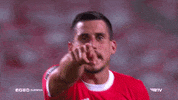 Sl Benfica Kiss GIF by Sport Lisboa e Benfica