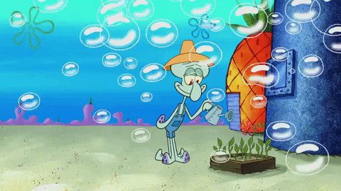 season 9 patrick the game GIF by SpongeBob SquarePants