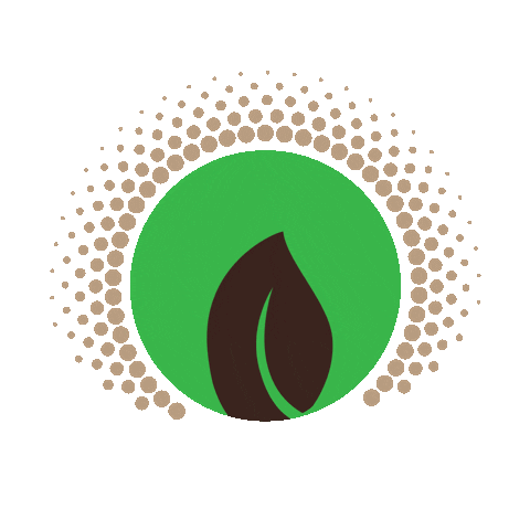 DetoxOrganics giphyupload giphythatsgonnabeanofrommedawg detox superfood Sticker