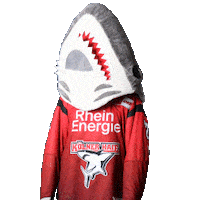 Hockey Nhl Sticker by Koelner Haie