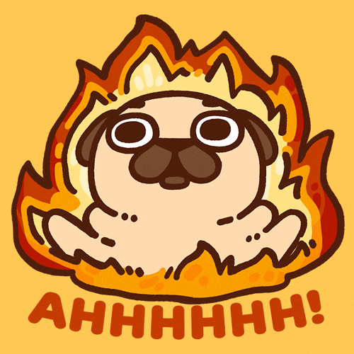 Fire Burn GIF by Puglie Pug