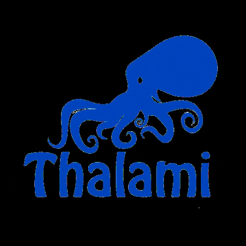 thalamibar mykonos thalami thalami bar thalamibar GIF