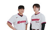 Kbo Sticker by Kiwoom Heroes Baseball Club