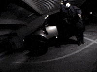Wolf Bass GIF by IDK