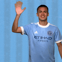 Major League Soccer Reaction GIF by NYCFC