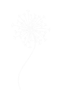 Make A Wish Flower Sticker