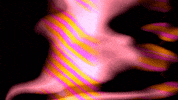 Video Art GIF by cskonopka