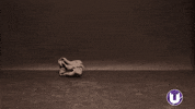 Animation Motion GIF by School of Computing, Engineering and Digital Technologies
