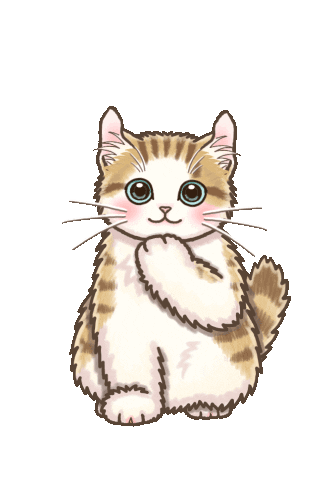 Valentines Day Cat Sticker