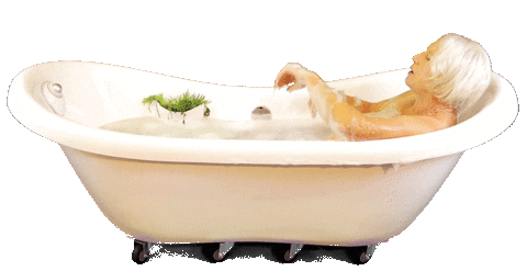 Bullshit No Sticker by biancakennedy