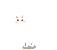 Dogiscat Sticker