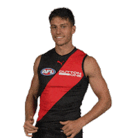 Dons Bombers Sticker by Essendon FC