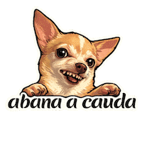 Happy Fun Sticker by abana a cauda
