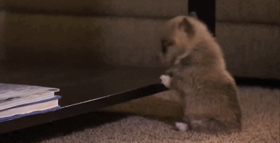 nowthis news GIF