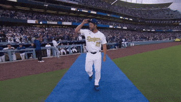 Los Angeles Dodgers Sport GIF by MLB