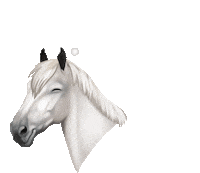 sso Sticker by Star Stable
