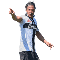 Bruno Alves Indica Sticker by Parma Calcio 1913