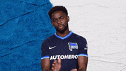 Bundesliga Berlin GIF by Hertha BSC