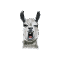Alpaca What Sticker