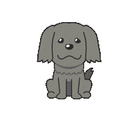 MohrundMore dog design werbeagentur werbung Sticker