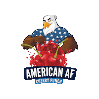 American Fitness Sticker by DownRange