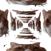 Infinite Loop Mind Blown Sticker