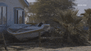 GIF by ABANDONED