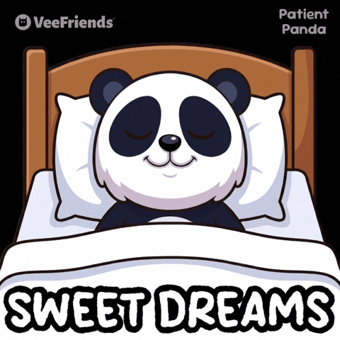 Sweet Dreams Panda GIF by VeeFriends