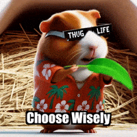 Energy Choose Wisely GIF by Guinea Gambino