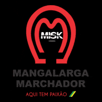 Horse Mm GIF by Haras Misk