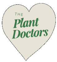 Theplantdoctors heart monstera plant docs plant doctors Sticker