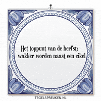 Humor Nl GIF by Tegelspreuken.nl