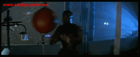 wesley snipes GIF