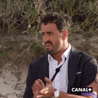 Fun Lol GIF by CANAL+