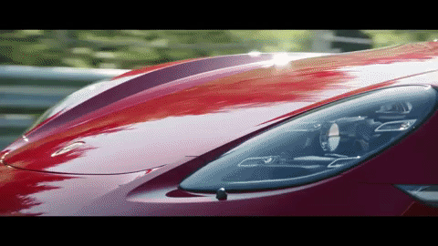 Luxury Cars Collection