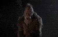 hairy GIF