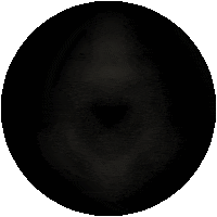 Street Streetphotography Sticker by Streetcollective Hamburg