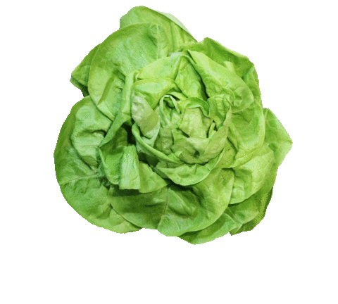 Food Love Sticker by vegpan