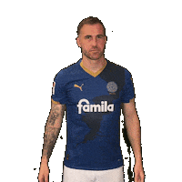 2 Bundesliga Football Sticker by Holstein Kiel